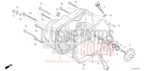 PANNEAU CARTER-MOTEUR D. CRF50FP de 2023